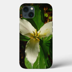 Flor Trillião Branco Primavera