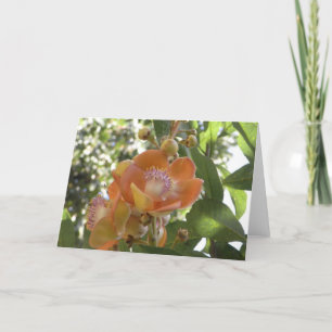 Flor tropical - Cartão de Vazio