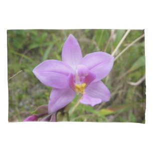Flor Tropical Roxo de Orquídea Selvagem