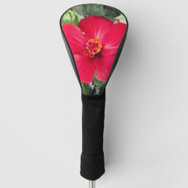 Flor Vermelha de Hibiscus Rosa-sinensis