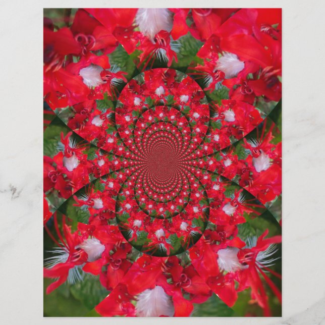 Flor Vermelha Natural Febre Branca Caleidoscópio A (Frente)