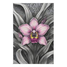 Floração de Orquídea Rosa