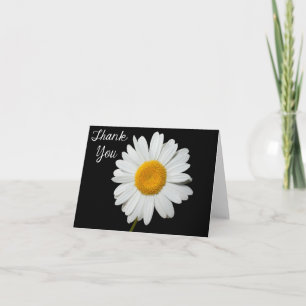 Floral Agradecimento Flor de Margarida Branca Cart