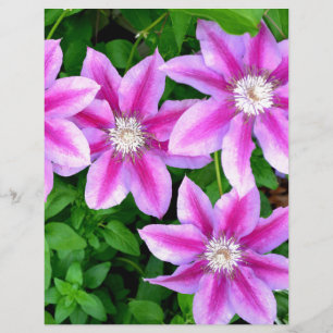 Floral cor-de-rosa elegante