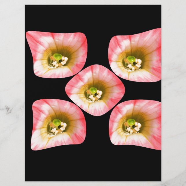 Floral Delight (Frente)