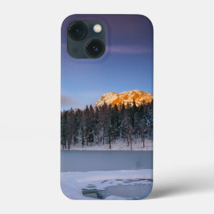 Floral Elegante Cor-de-rosa branca Olhem para o pô