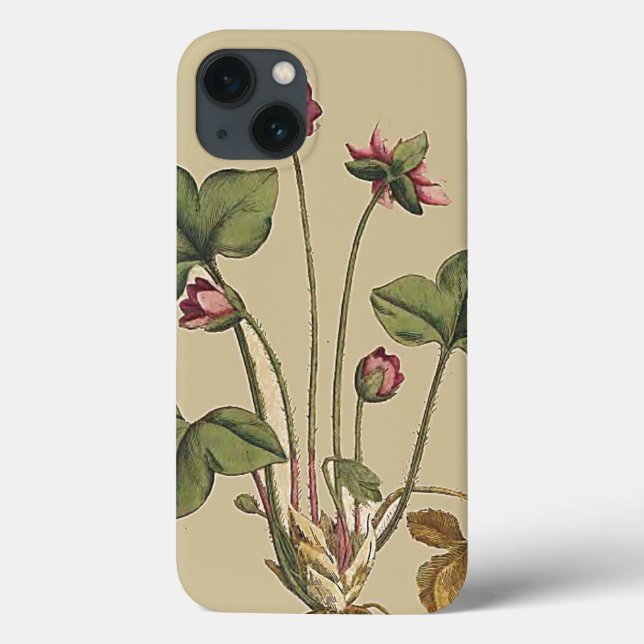 Floral Fllower Botanical Garden iPhone 6 Case (Verso)