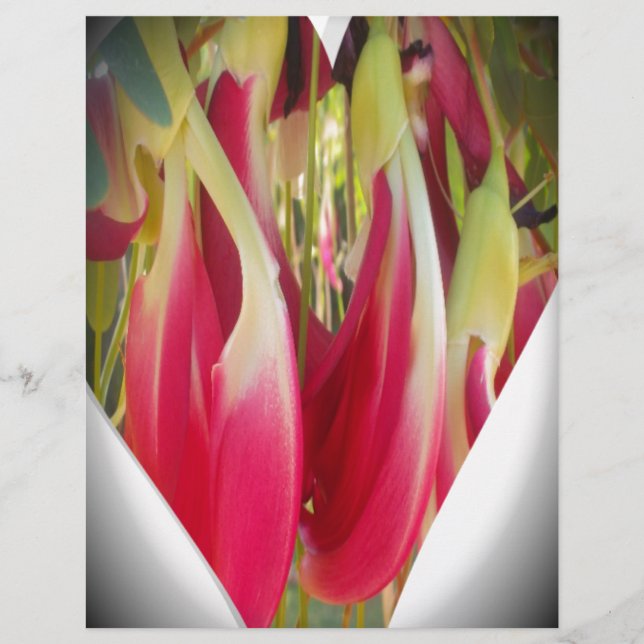 Floral Heart Impressão (Frente)