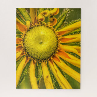 Floral Jigsee Quebra-cabeça