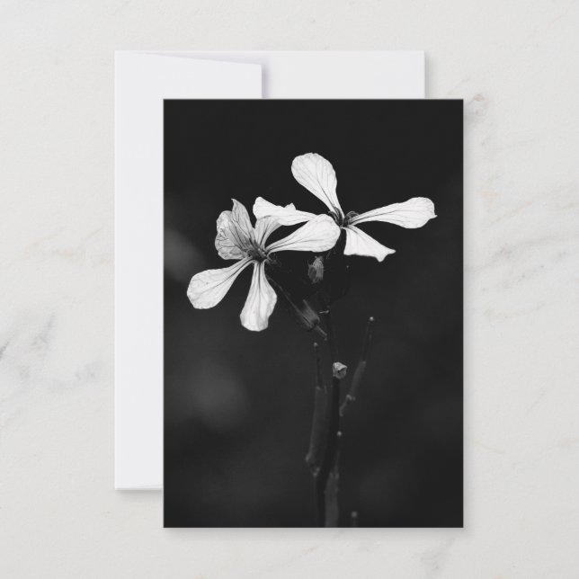 floral preto e branco mínimo (Frente)