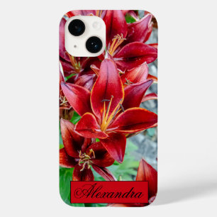 Floral Red Stargazer Lily Fotografia