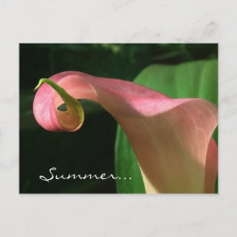 Floral Summer Solstice Convite de festas
