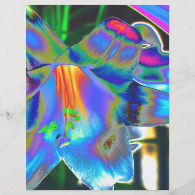 Flores (Frente)