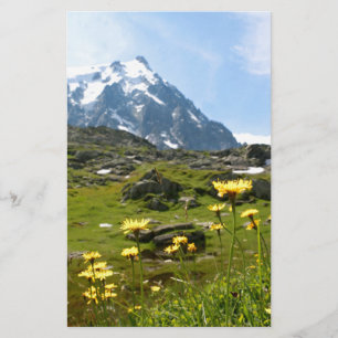 Flores alpinas - Bonita!