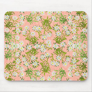 Flores alpinas Mousepad de Edelweiss do suíço