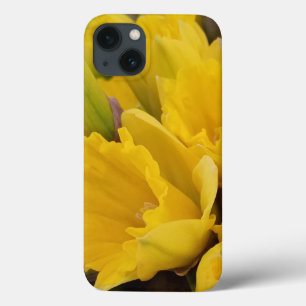 Flores Amarelas de Daffodil