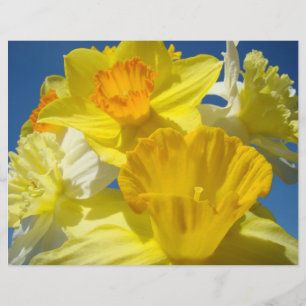 Flores amarelas de papel dos Daffodils de
