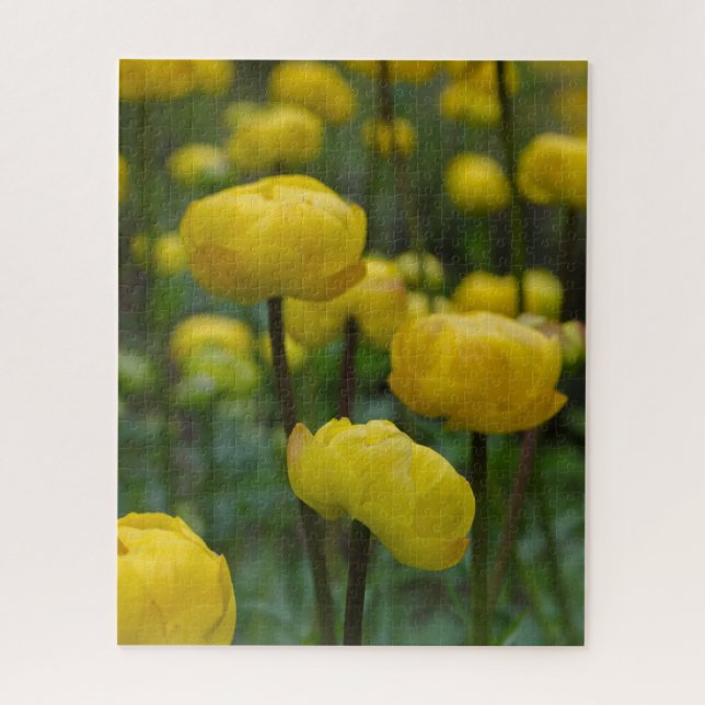 Flores amarelas do globo Quebra-cabeça (Vertical)
