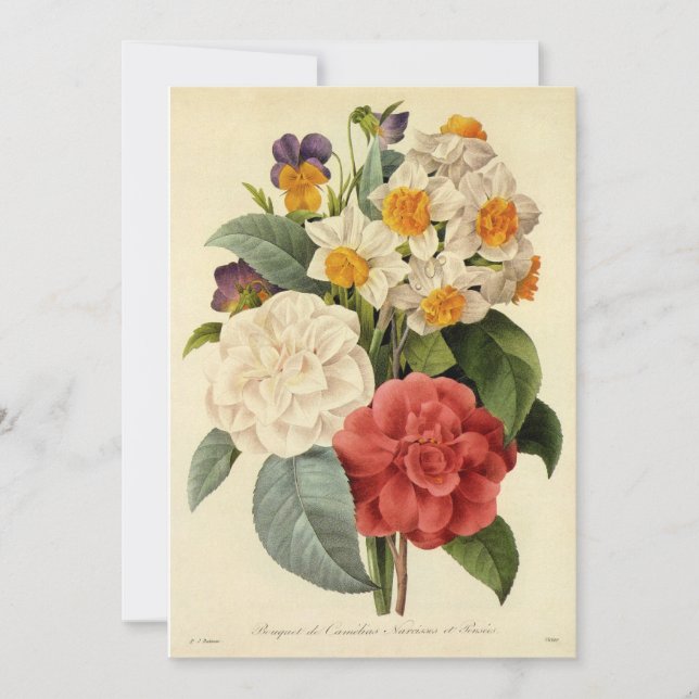 Flores Antigas, Camélias e Narcisos, Redoute (Frente)