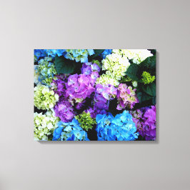 Flores Azuis Brancas Coloridas Impressão em Tela
