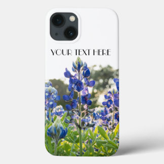 Flores Azuis Flores do Texas Lupine Floral
