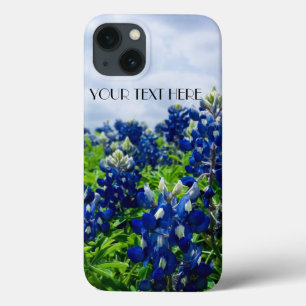 Flores Azuis Flores do Texas Lupine Floral