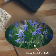 Flores azuis no primavera