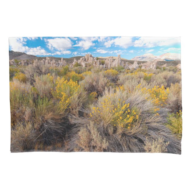 Flores | Blooming Sagebrush California (Frente)