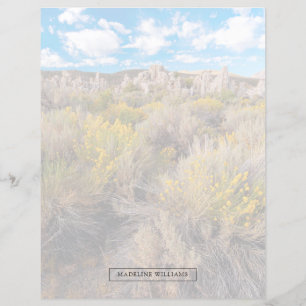 Flores   Blooming Sagebrush California