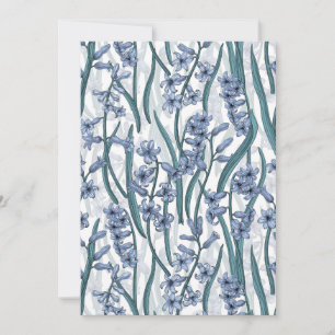 Flores Blue Hyacinth em branco
