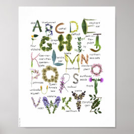 Flores Botânicas Alphabet Baby Nursery Poster