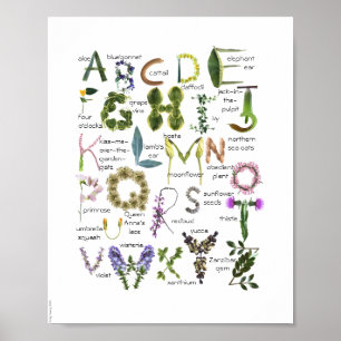 Flores Botânicas Alphabet Baby Nursery Poster
