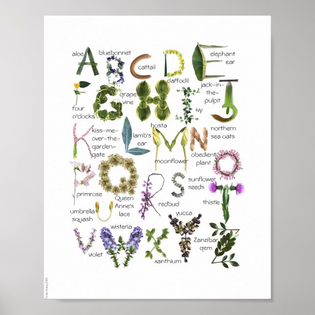 Flores Botânicas Alphabet Baby Nursery Poster (Frente)