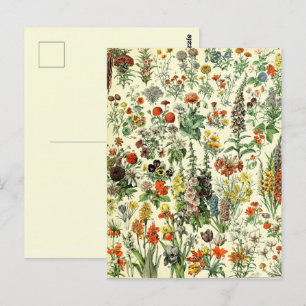 Flores Botânicos Antigos - Cartão Postal