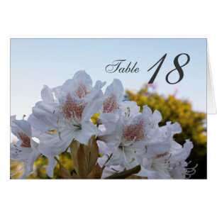 flores brancas azalea jantar cartão de número da t