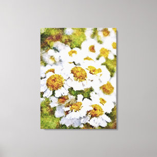 Flores Brancas - Canvas de Pintura