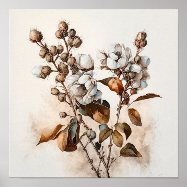 Flores brancas de algodão Impressão (Frente)