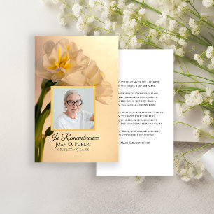 Flores Brancas Duplas De Daffodil, Oração Funerári