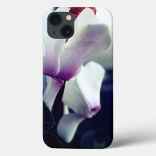 Flores Brancas Rosa Foto iPhone 6/6, Duro