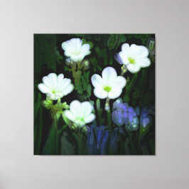 FLORES BRANCOS ESTICADOS DE CANVAS