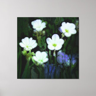 FLORES BRANCOS ESTICADOS DE CANVAS