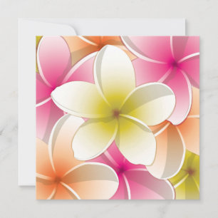 Flores Brilhantes Frangipani/ Plumeria