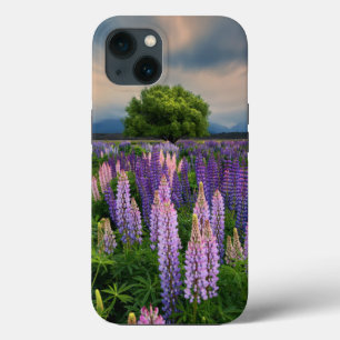 Flores Campo de linha na Nova Zelândia