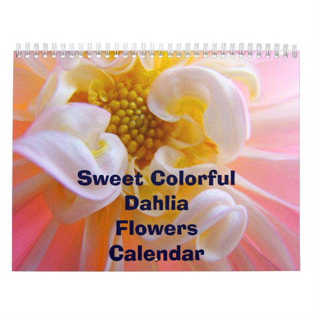 Flores Coloridas de Dália Calendário Florais (Capa)
