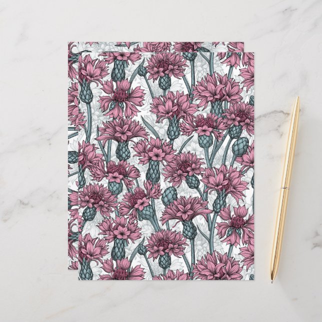 Flores cor-de-rosa, flores silvestres, brancas (Frente/Verso In Situ)