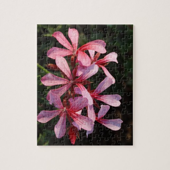 Flores Cor-de-Rosa Foto Quebra-Cabeça 8x10 com Cai (Vertical)