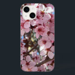 Flores cor-de-rosa na árvore florescente ornamenta<br><div class="desc">Aqui está a última de uma série de fotos com árvores cor-de-rosa e brancas florescendo de Albuquerque - a tempo de primavera aqui em Maryland. Isto parece ser uma adorável árvore de pêssego ornamental. Vejam a nossa loja de primaveras floridas mais bonitas, incluindo árvores de madeira e peras floridas. Esta...</div>