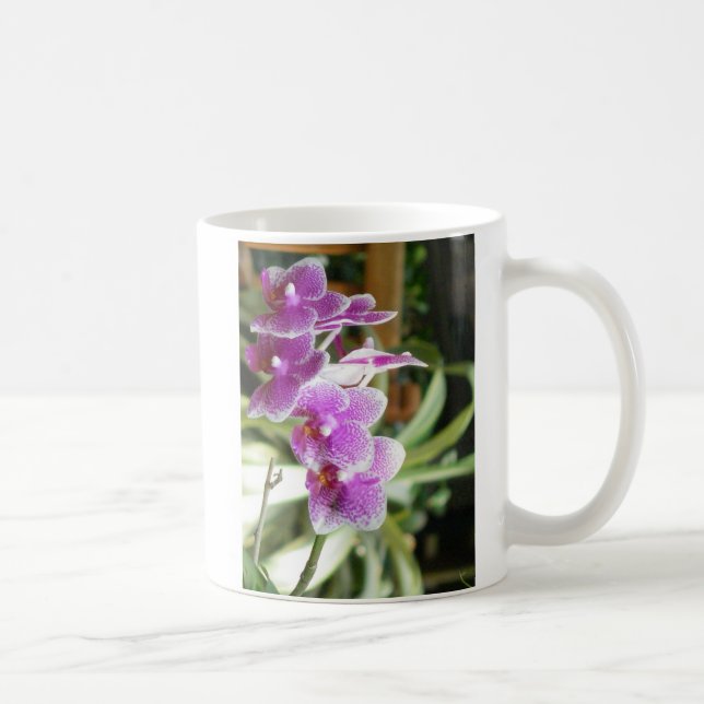 flores da caneca de café da orquídea (Direita)