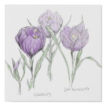 Flores da Primavera - Crocus