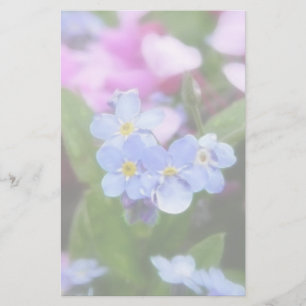 Flores Da Primavera - Esqueça-Me Noções E Redbuds